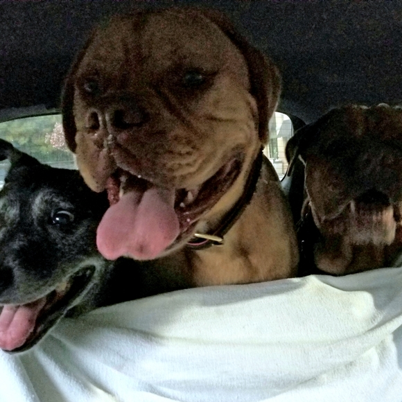 Meet your Posher, Erica - Picture 3 of 9